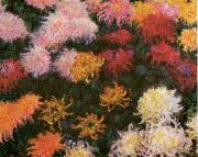 Claude Monet Chrysanthemums  sd oil painting